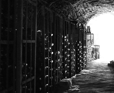 Wine as an Investment: Amphora Portfolio Management