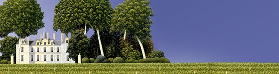 Wine Investing: Amphora Portfolio Management